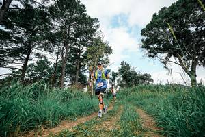 BIB: 
                            <button type="button" onclick="openModal(26035724)" class="btn btn-primary btn-sm float-right btn-popup" data-toggle="modal" data-target=".modal-high-quality">
                        <i class="fas fa-shopping-cart"></i> Add to Cart
                    </button>
                                            <button type="button" onclick="isThisMe(26035724, true)" class="btn btn-success btn-sm float-right btn-popup btn-isme hidden" data-toggle="tooltip" data-placement="bottom" title="นี่คือรูปของคุณใช่ไหม คลิกที่นี่เพื่อเอาเข้าอัลบั้ม">
                        <i class="fas fa-plus"></i> Add to album
                    </button>
                    <button type="button" onclick="isThisMe(26035724, false)" class="btn btn-warning btn-sm float-right btn-popup btn-isnotme hidden">
                        <i class="fas fa-ban"></i> Remove from album
                    </button>